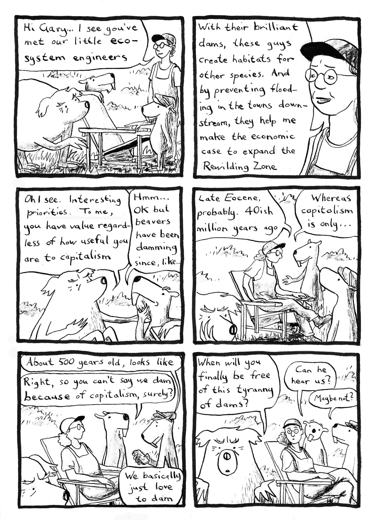 Large Mammal Problem #12