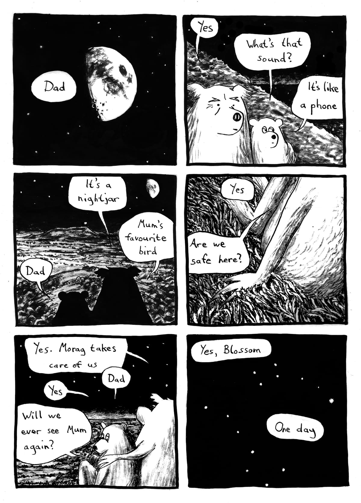 Large Mammal Problem #8