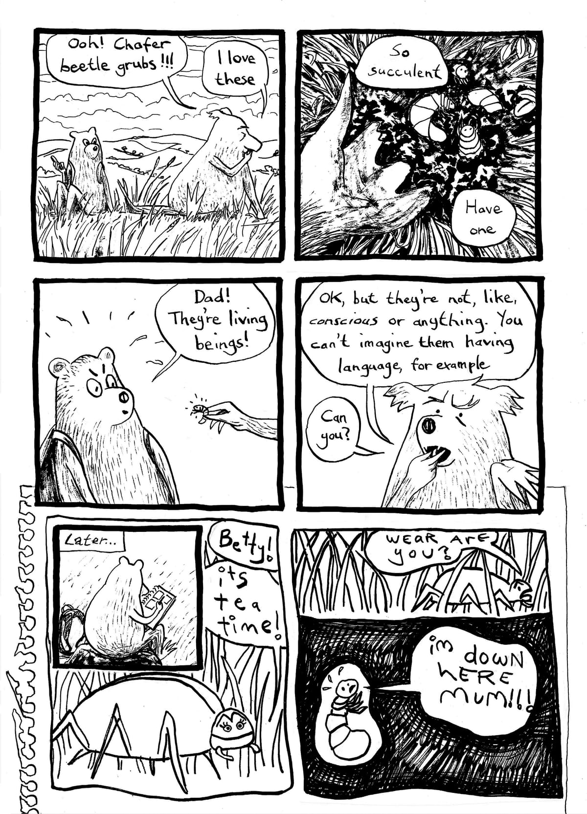 Large Mammal Problem #25