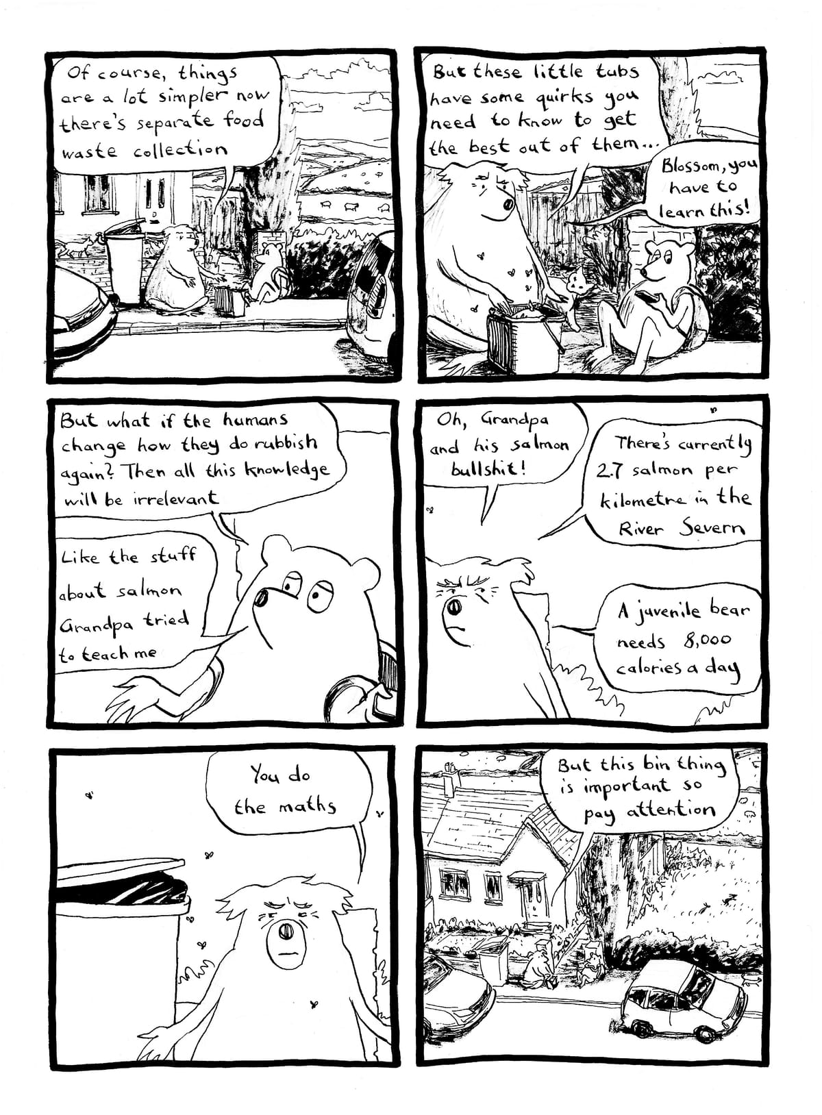 Large Mammal Problem #14