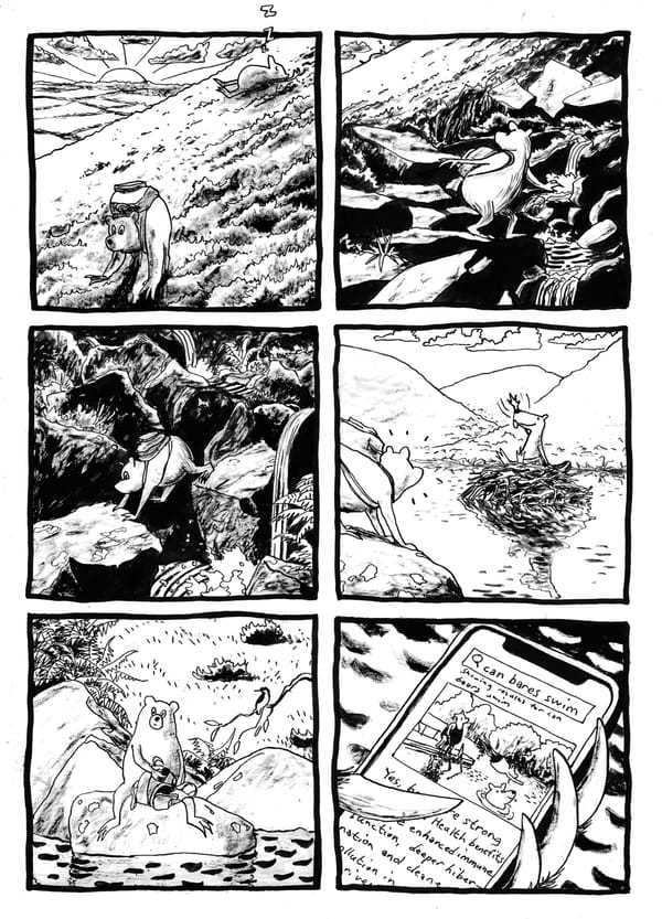 Large Mammal Problem #9